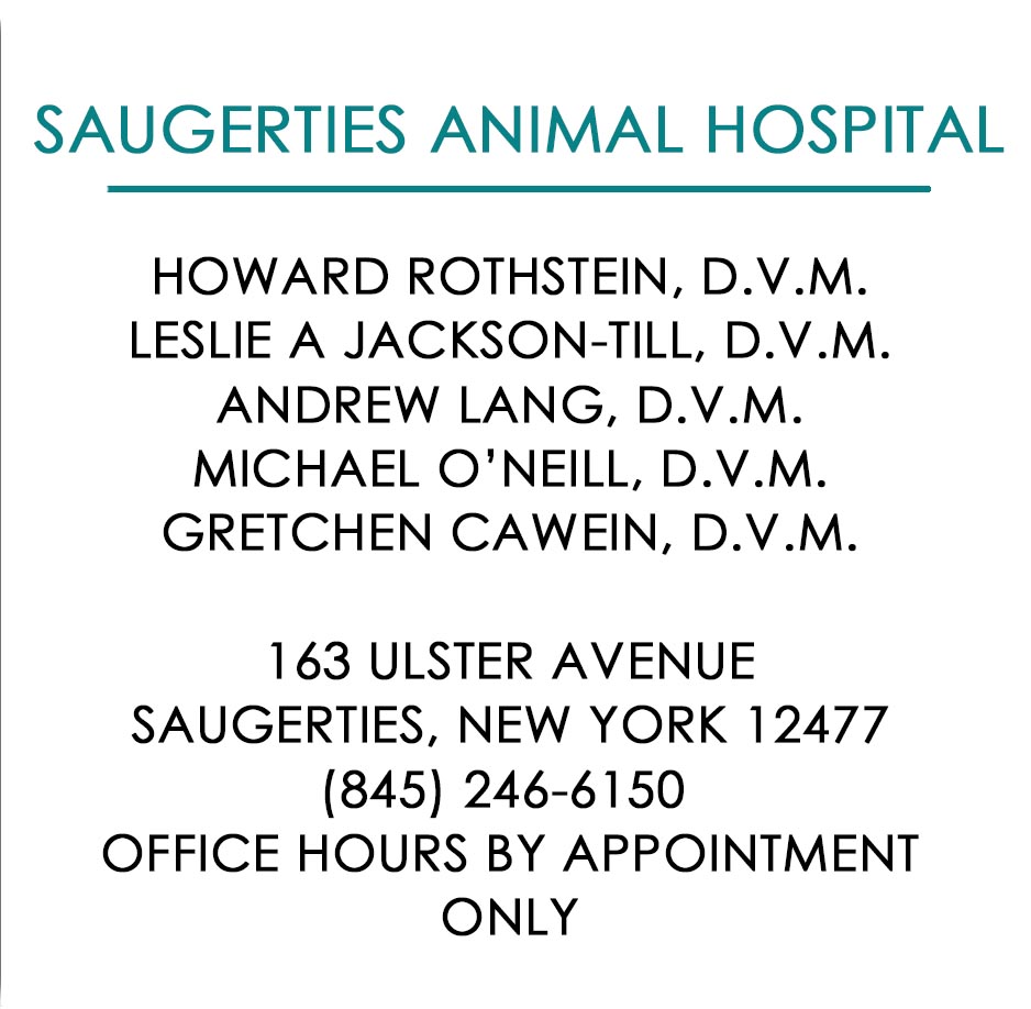 Saugerties Animal Hospital