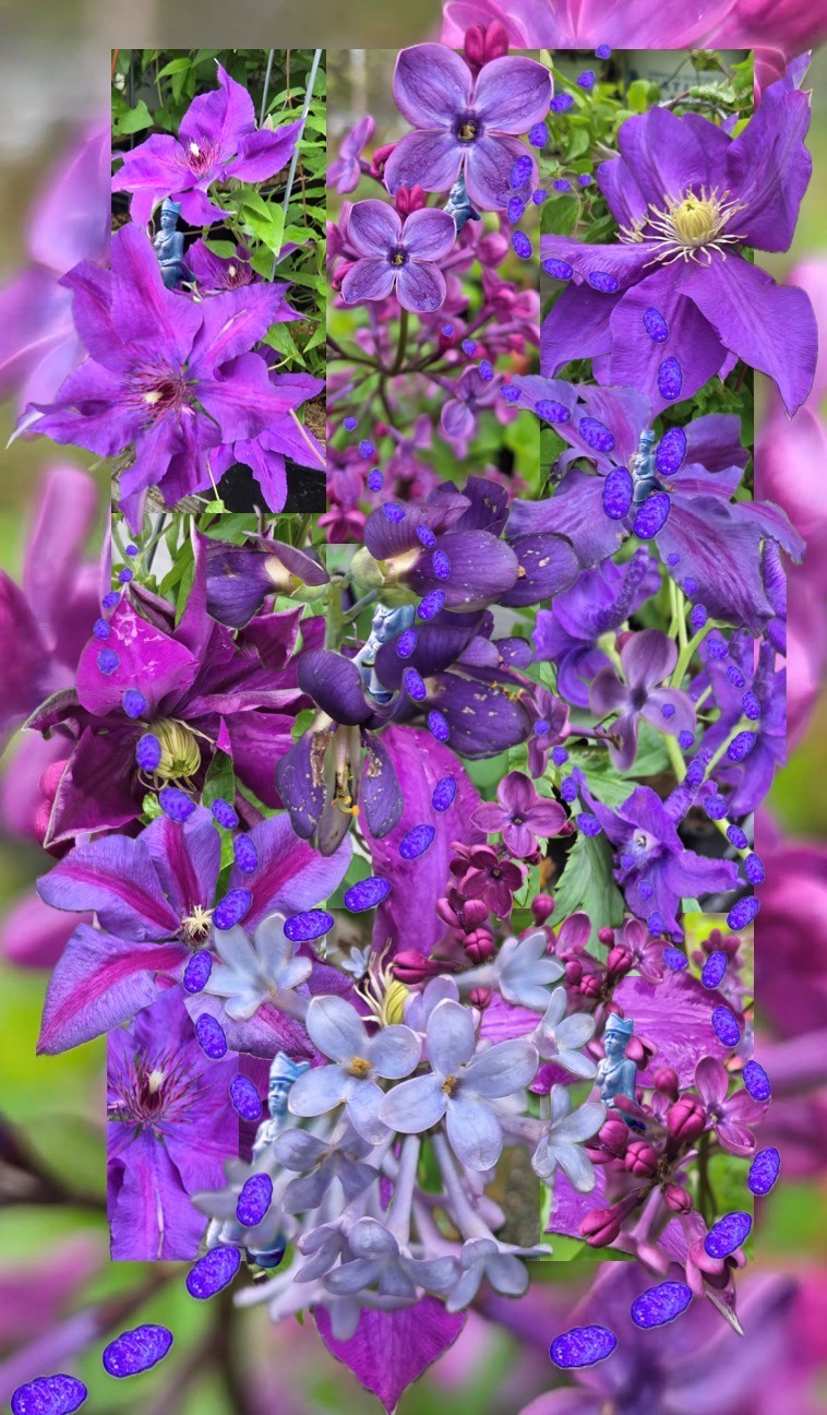 Susun Weed - Image 11