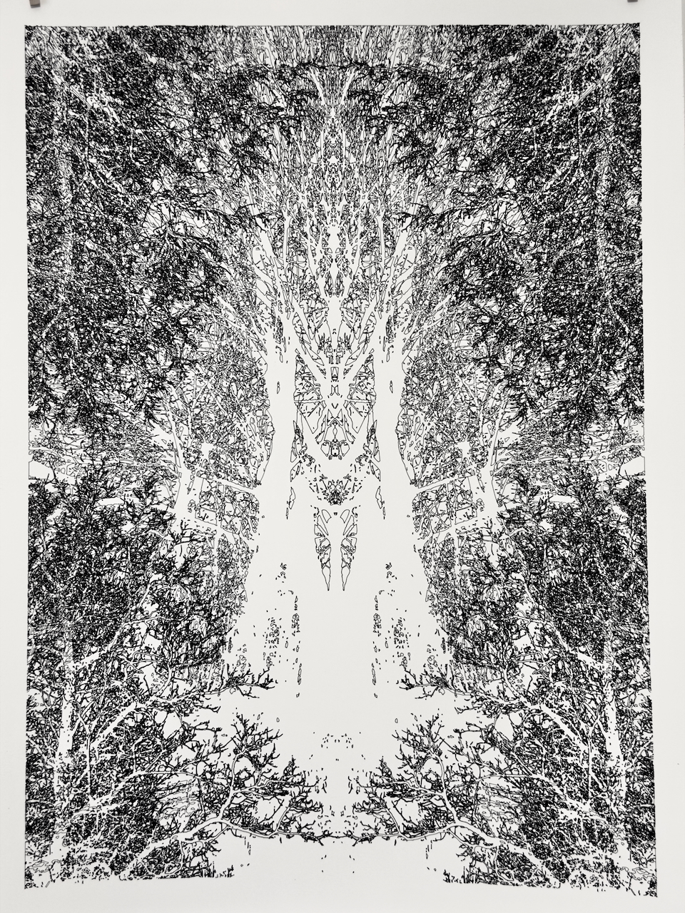 Fred Kahl - Image 4